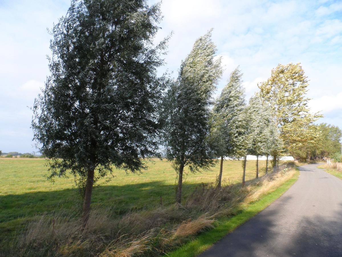 Haus Schmidt Lägenhet Alt Bukow Exteriör bild